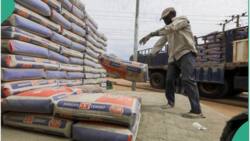 Cement factory set to commence operation, rival Dangote as largest in East African country