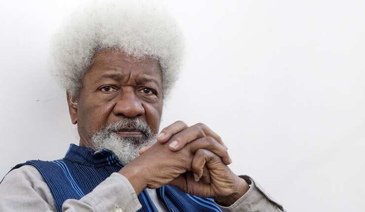 Soyinka reveals how Nigerians can prevent another civil war
