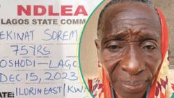 "My son is the supplier": 75-year-old grandma arrested for dealing in illicit drugs in Lagos