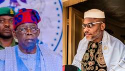 IPOB: Ohanaeze presents Tinubu antidote to combat sit-at-home order in southeast