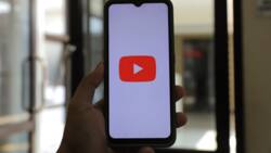 How to see dislikes on YouTube via browser or mobile app