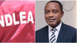 Surprise as NDLEA finds N20bn in top Lagos socialite’s 103 bank accounts, takes strong decision
