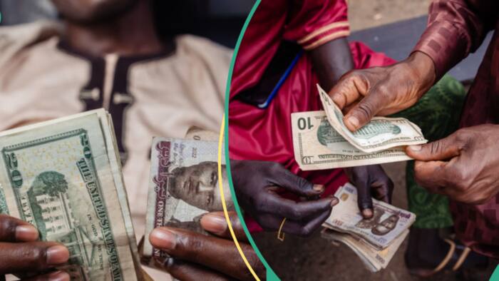 New exchange rate as naira records first loss in a while against US dollar in official market