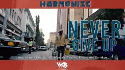 Harmonize X Milly Nanace - Never Give Up remix: Is it better than the original?