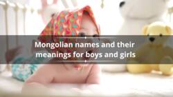 150+ Mongolian names and their meanings for boys and girls