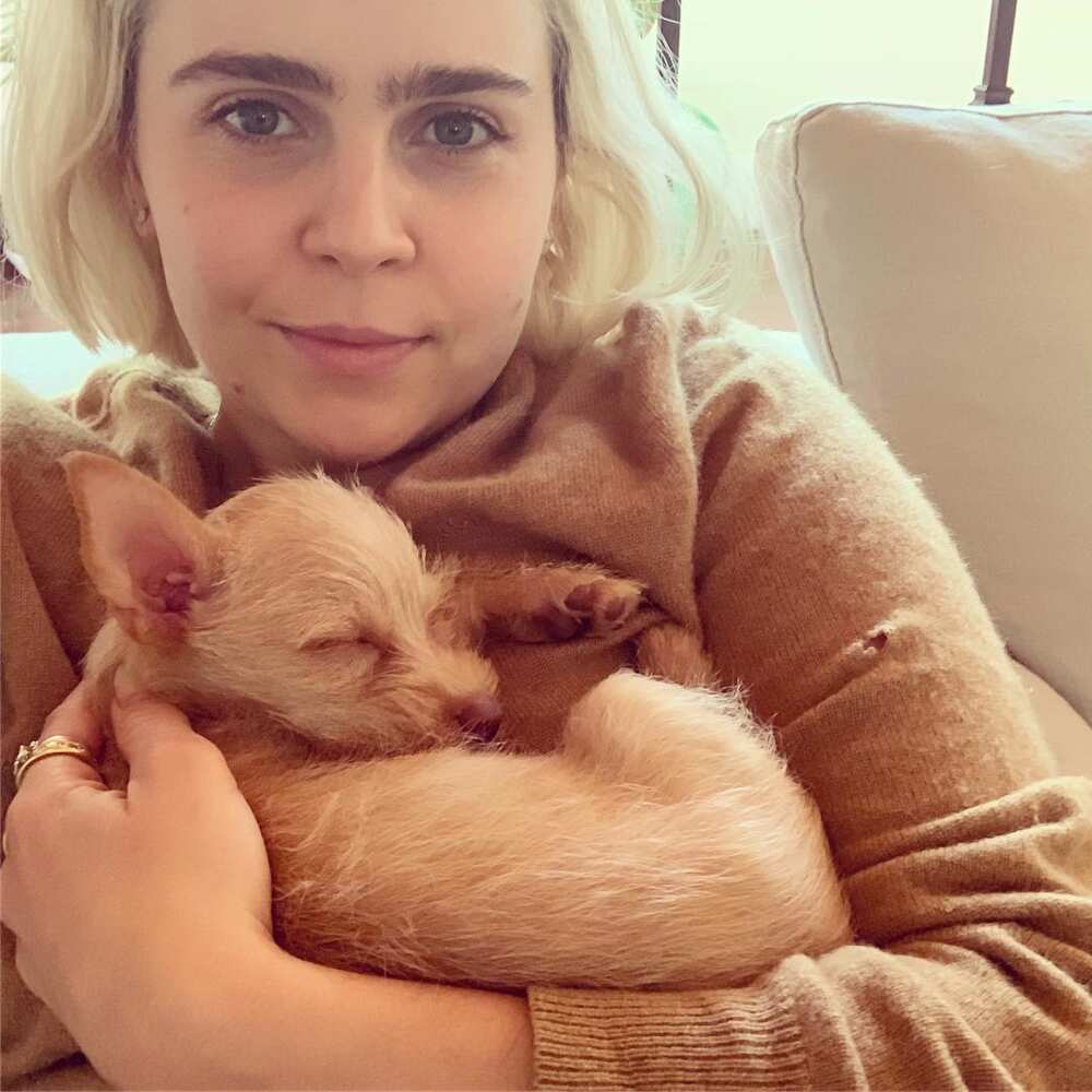 Mae Whitman movies and TV shows Mae Whitman movies and TV shows