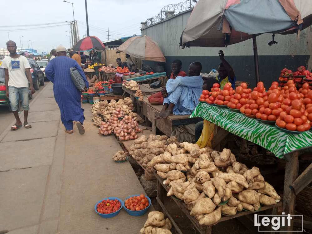 There's been a drop in the cost price of tomato and pepper as sweet potato becomes scarce leading to increment in its cost of purchase. photo credit: Esther Odili There's been a drop in the cost price of tomato and pepper as sweet potato becomes scarce leading to increment in its cost of purchase. photo credit: Esther Odili