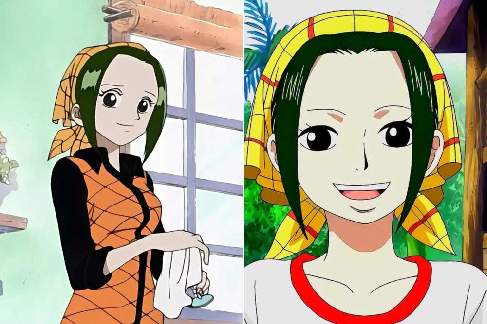 one piece female characters