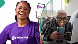 “Everyone should have access”: PalmPay begins free money transfers to AccessBank, Zenith, UBA, others