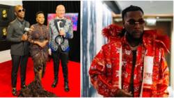 "Dem do am to Wizkid too": Reactions as Burna Boy's Last Last loses Best Global Music Performance category