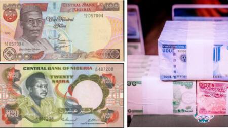 From Pound to Naira: How Nigeria's currency has transformed in 100 years