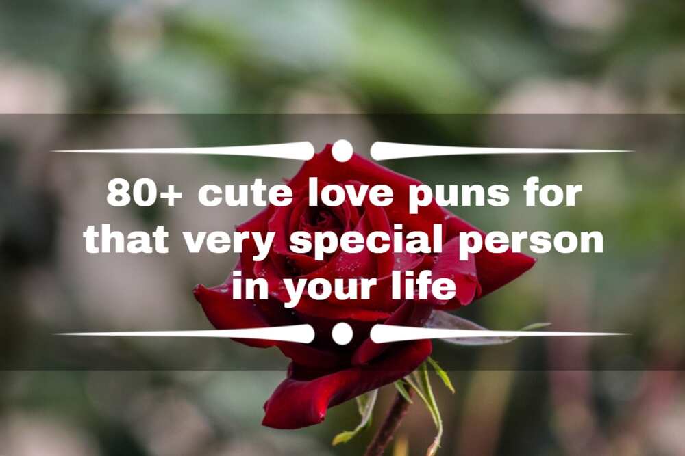 cute puns about love