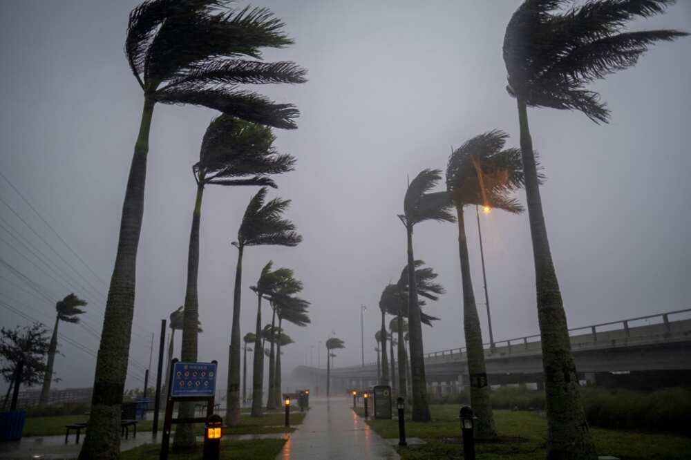 Wind billows against palm trees as Hurricane Ian, a massive and powerful Category 4 storm, nears  Charlotte Harbor, Florida