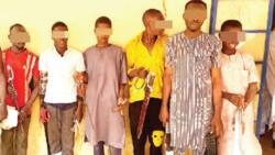 Sokoto: 'Yan Bangar Siyasa 10 da Suka Kasance Matasa sun Shiga Hannun 'Yan Sanda