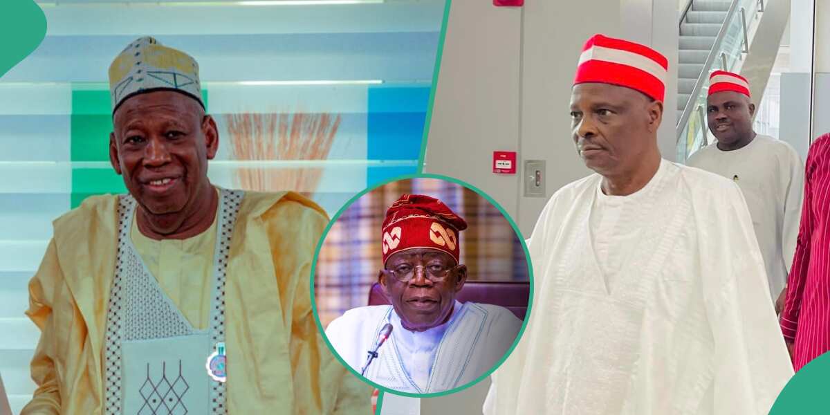 Appeal Court's judgement: Tinubu, Ganduje strongly warned over possible crisis in Kano
