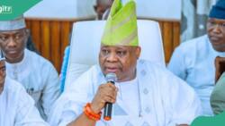 Court sends Governor Adeleke's appointee to prison over alleged murder