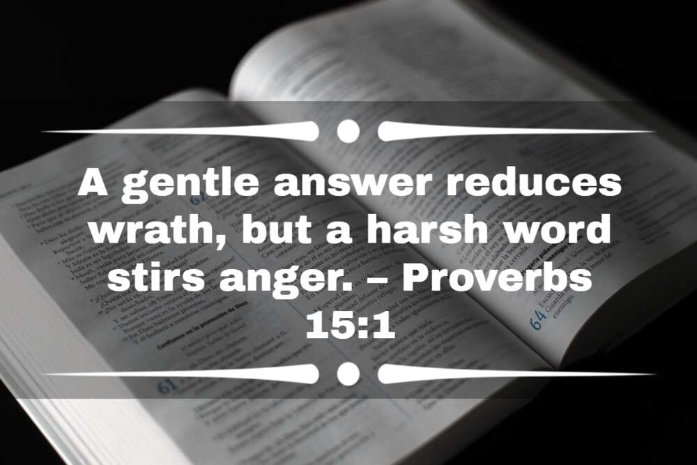 cool bible verses cool bible verses