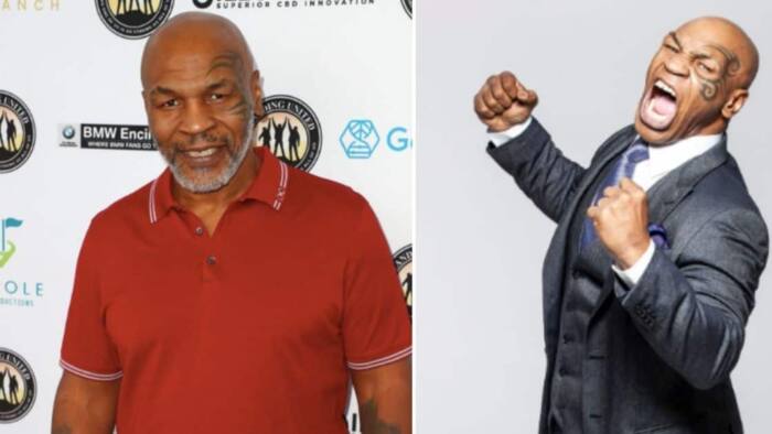 Mike Tyson will not be prosecuted for punching man on a plane: "Our decision is that we won't file charges"