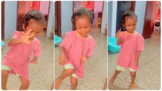 Little girl wows viewers with superb leg dance moves, steals the show in video
