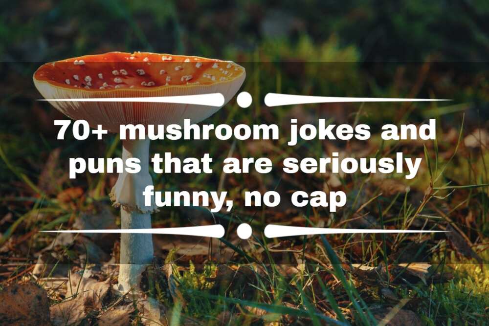 mushroom jokes