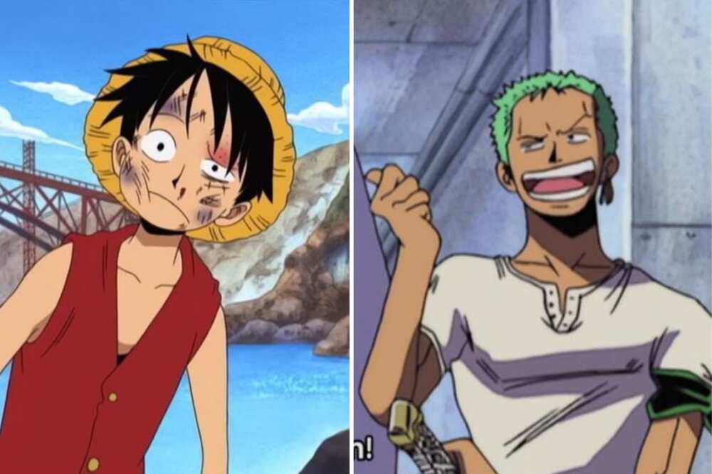 One Piece (TV Series 1999- ) - Z's Ambition (filler) - (Story Arc