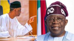 What Tinubu told us at Aso Rock, NSA Nuhu Ribadu reveals