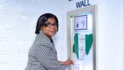 "Invest and save": FG asks Nigerians to invest in infrastructure with N5k at 13.28% interest