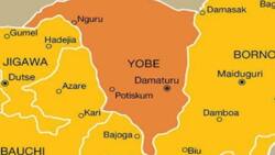 'Yan Boko Haram sun kashe ɗalibai 167 da malaman makaranta 3 a Yobe, Gubana