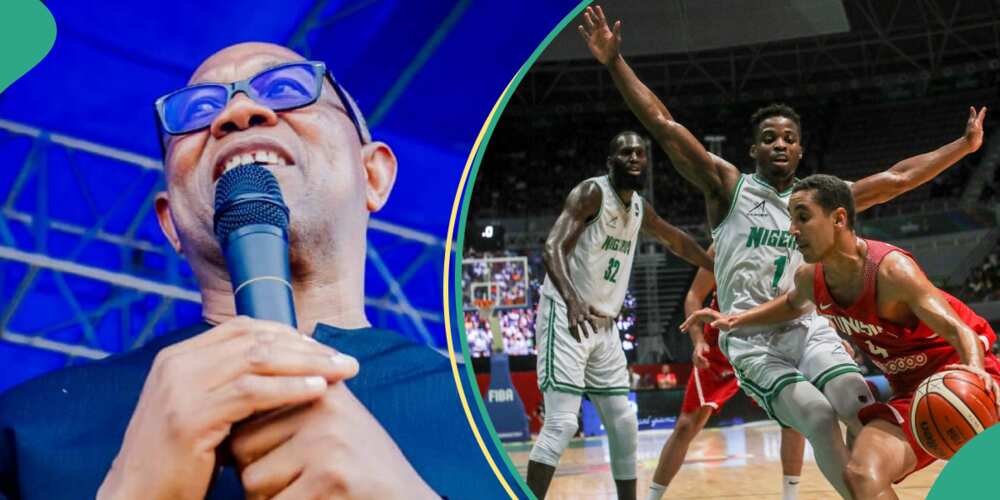The NBBF released a statement to confirm the withdrawal of the D'Tigers