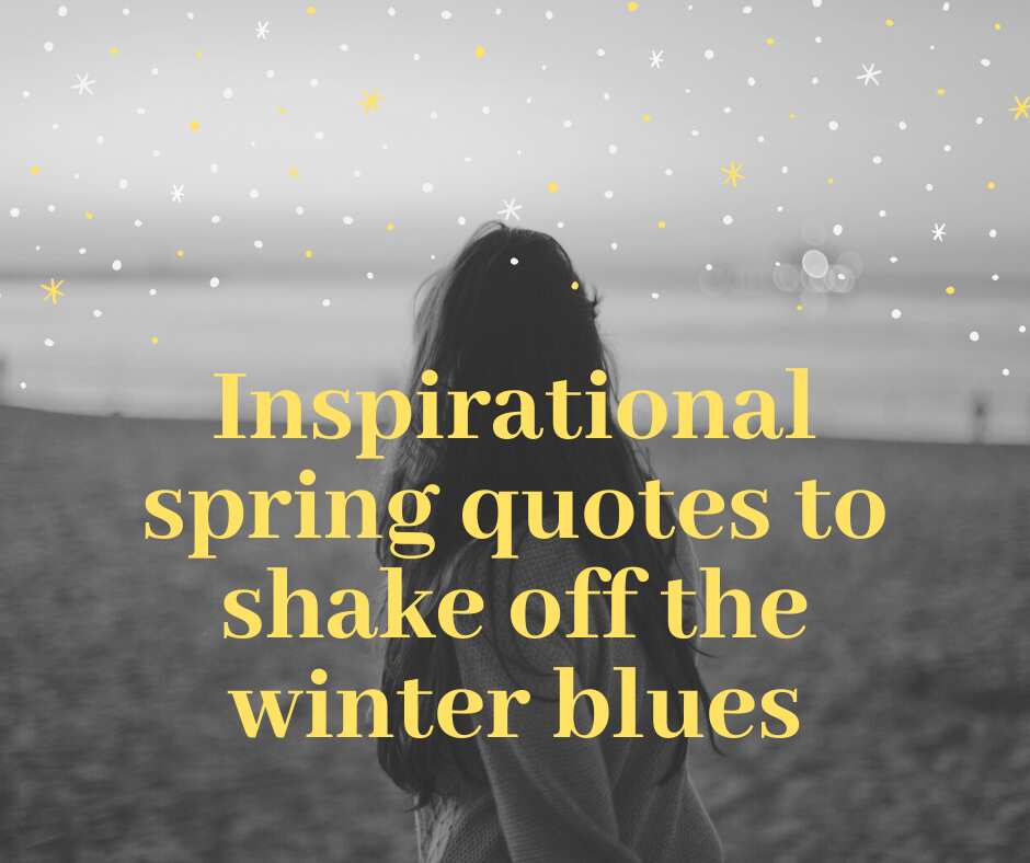 happy spring quotes sayings