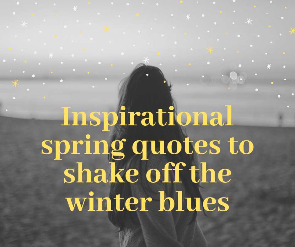 30 inspirational spring quotes to shake off the winter blues 30 inspirational spring quotes to shake off the winter blues