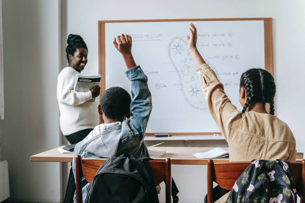 What are the principles of a child-friendly school? What are the principles of a child-friendly school?