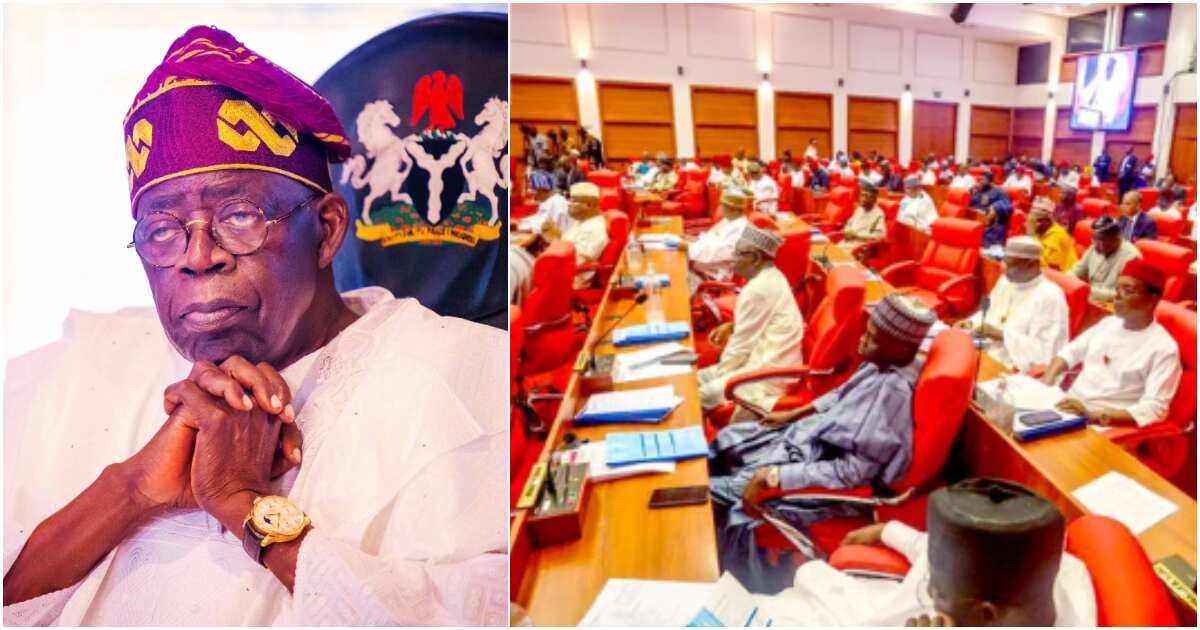 Ministerial screening: 20 out of 28 nominees grilled by Senate
