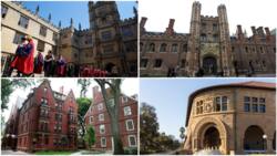 2023 rankings: List of top 10 universities in the world emerges