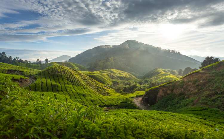 Importance of highlands in Nigeria - Legit.ng