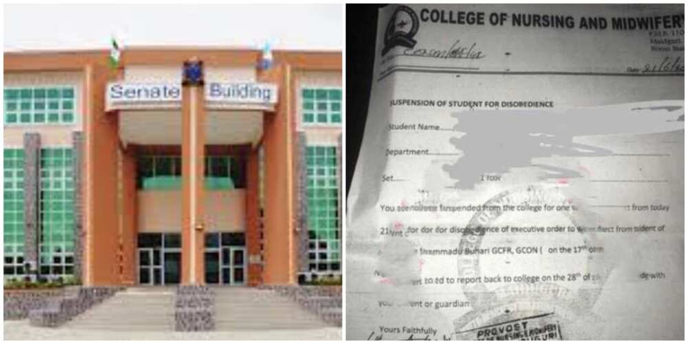 Nigerians react as college suspends student for failing to welcome Buhari during visit