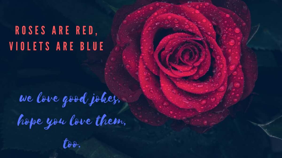 Are roses poems mean red are violets blue what is