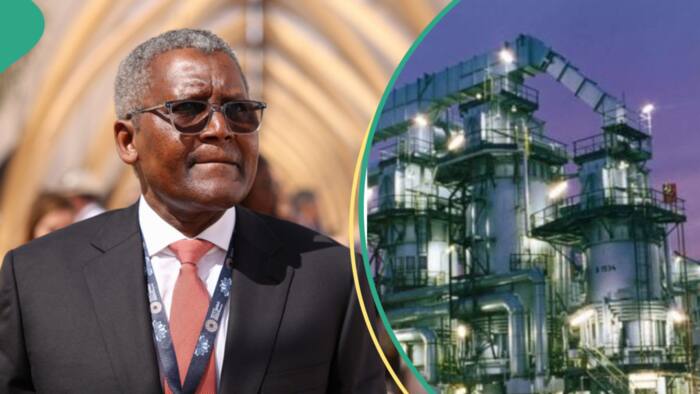 Dangote Sugar Refinery aims for 1.5 million metric tonnes annual production, moves to employ 8,000