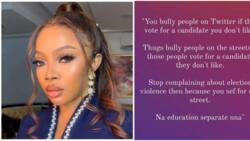 "Na education separate una": Toke Makinwa sparks reactions as she compares Twitter warriors to election thugs