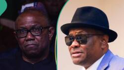Revoked Land: FCT minister Wike gives Obi, Imoke, others 3 months grace