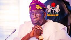 Kotun Zabe: Fataucin Kwayoyi Da Wasu Muhimman Abubuwa 5 Da Za Su Iya Sa a Tsige Tinubu