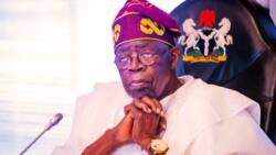 Gwamnoni 6 da Shugabannin Ibo Zasu Gana da Shugaba Tinubu Kan Muhimmin Abu 1 Rak, Bayanai Sun Fito