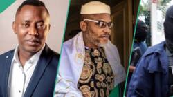 Nnamdi Kanu's trial: Sowore struggles with DSS operatives at Supreme Court, video emerges