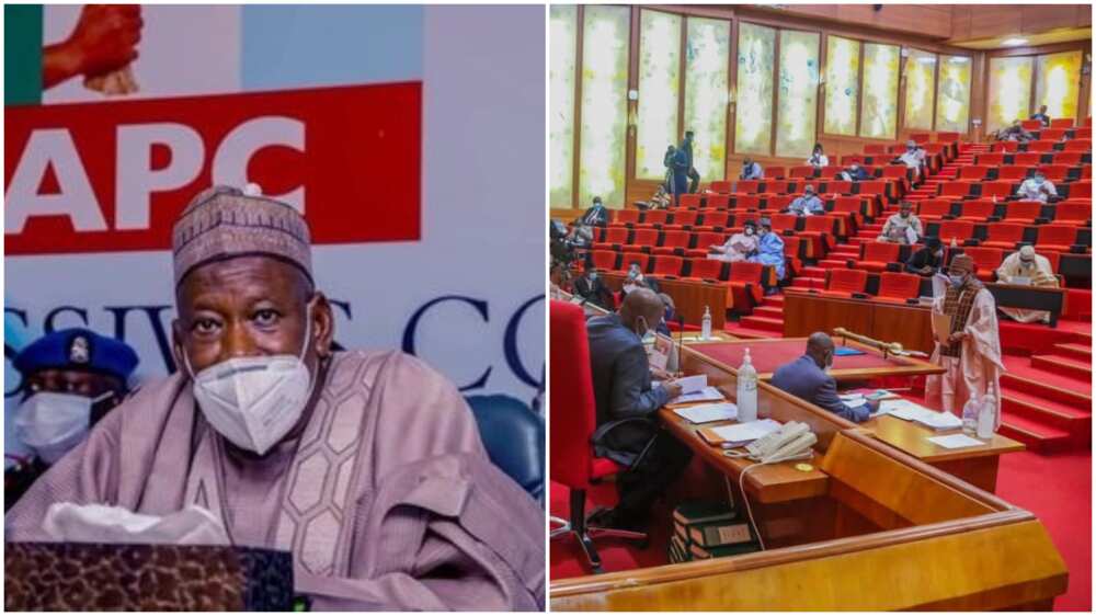 Herdsmen crisis: Senate reacts as northern governor asked FG to ban cattle movement from north to south