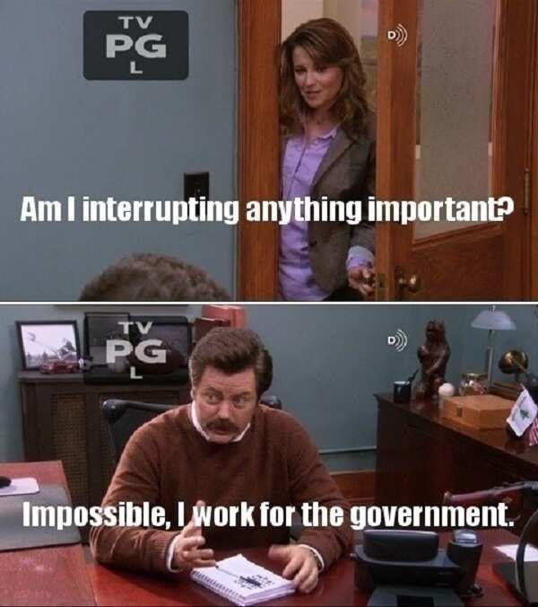 Ron Swanson quotes