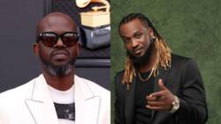 Top 20 richest musicians in Africa and their net worth in 2022 (+photos)