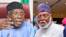 Farmers vs herders: Abdusalami's treaty with West African neighbours behind crisis, Audu Ogbeh alleges