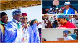 List of top politicians Tinubu may appoint as ministers and their likely portfolios emerges