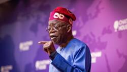 Why Tinubu delegated questions at Chatham House, Dele Alake reveals