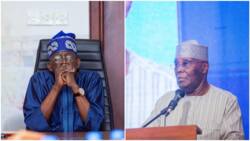 Atiku or Tinubu? Northern governor predicts winner of 2023 presidential election, says he doesn't know Peter Obi